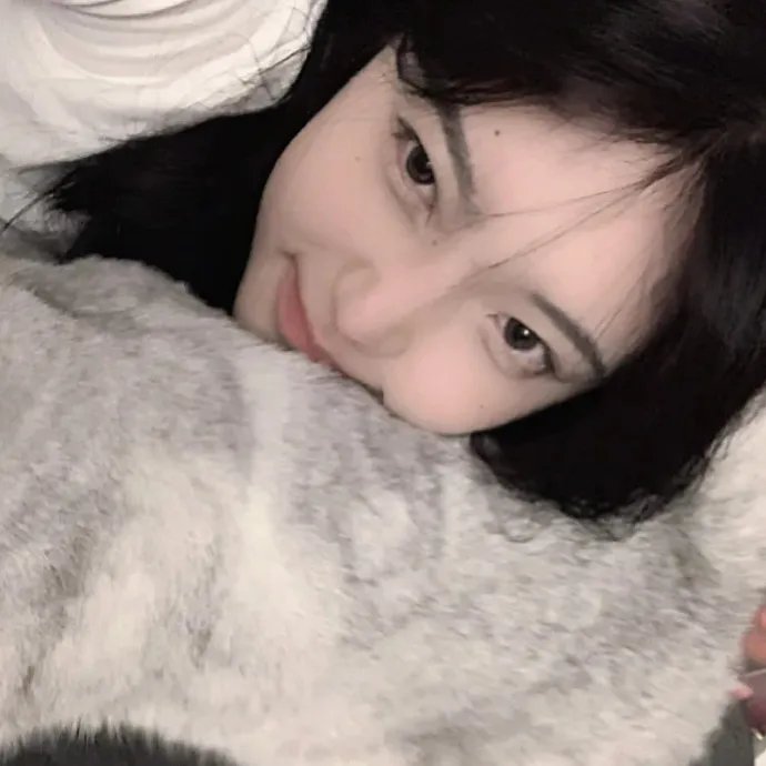 我老婆是老大2 分类封面