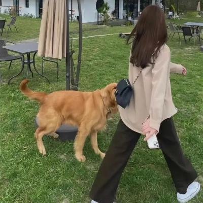 中国女人 在线观看封面
